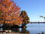 beautiful Lake Conway